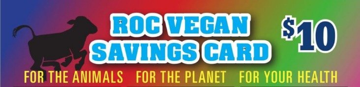 south africa online casino